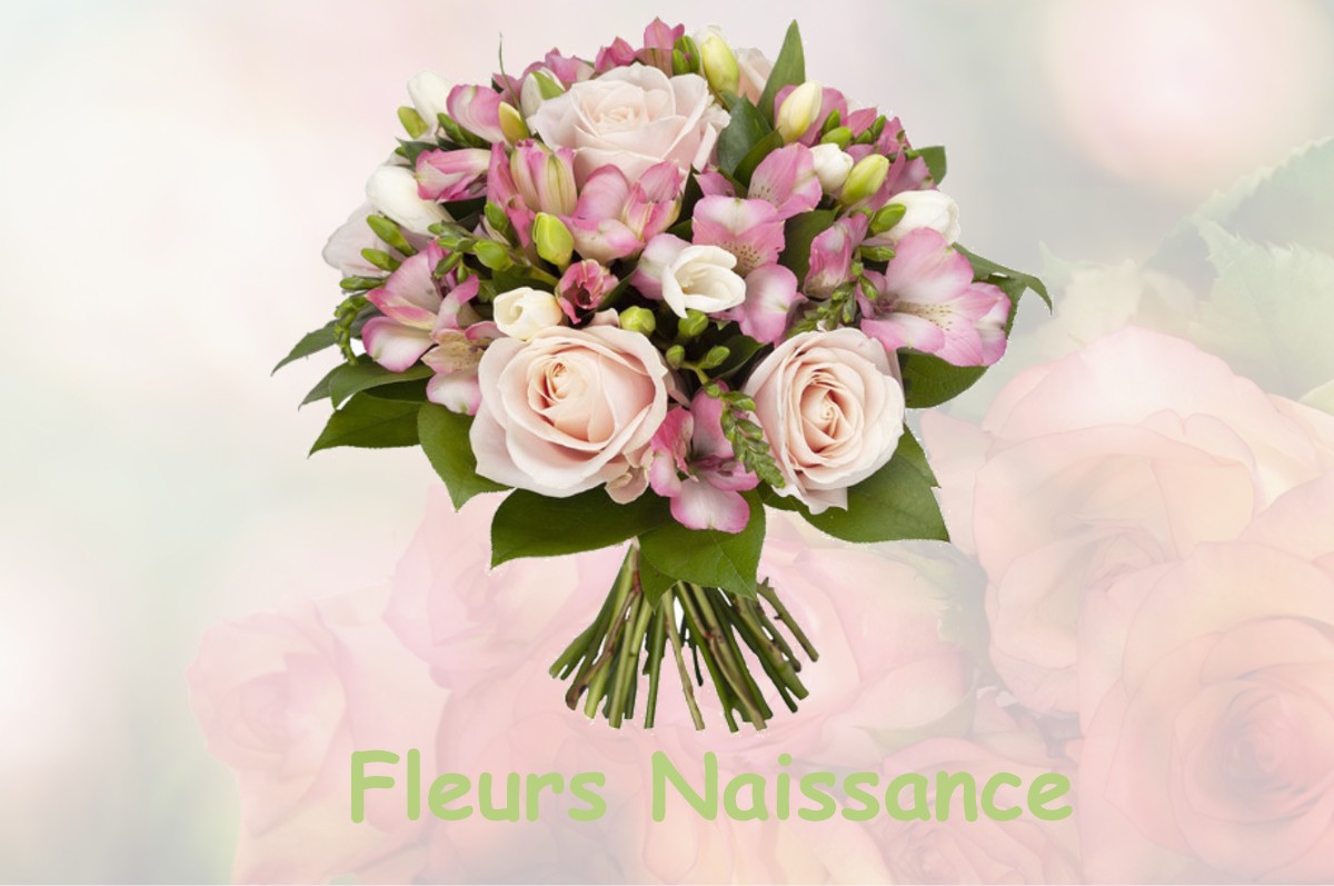 fleurs naissance SAINT-AUBIN-DE-NABIRAT